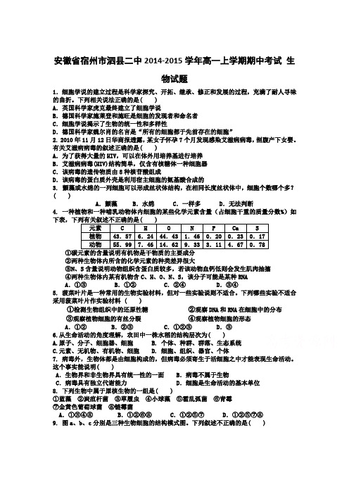 安徽省宿州市泗县二中2014-2015学年高一上学期期中考试 生物试题