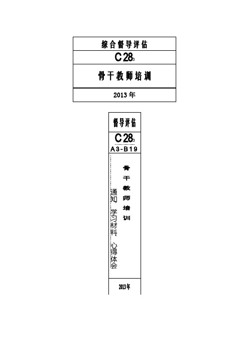 督导评估档案-骨干教师培训