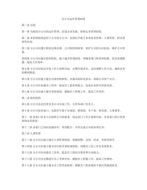 分公司运作管理制度