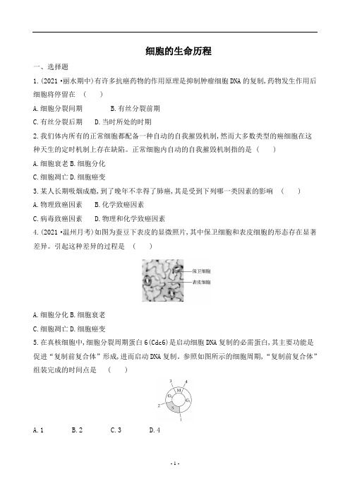 (新教材)浙江省高中学业水平生物合格性考试刷题过关训练：细胞的生命历程