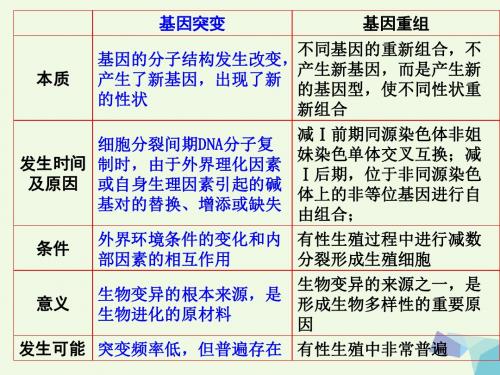 高中生物第六章从杂交育种到基因工程第1节杂交育种与诱变育种课件新人教版必修2