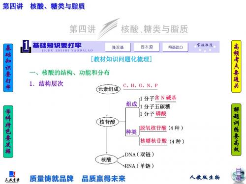 高考生物一轮复习(人教版)高频考点通关讲练：必修1 第1单元 第4讲 核酸、糖类与脂质