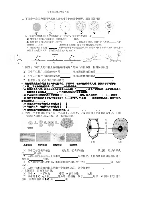 七年级上册生物分析题