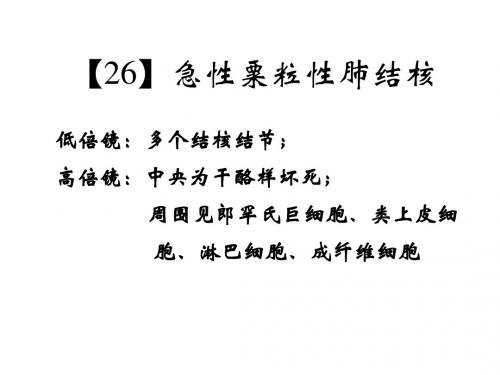 传染病(病理学专业)