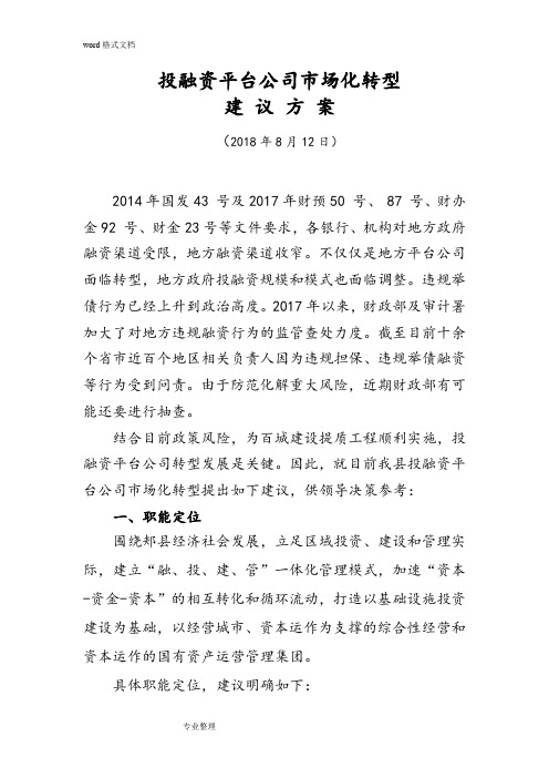 投融资公司转型方案