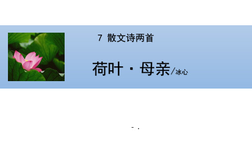 《荷叶母亲》PPT优质课件