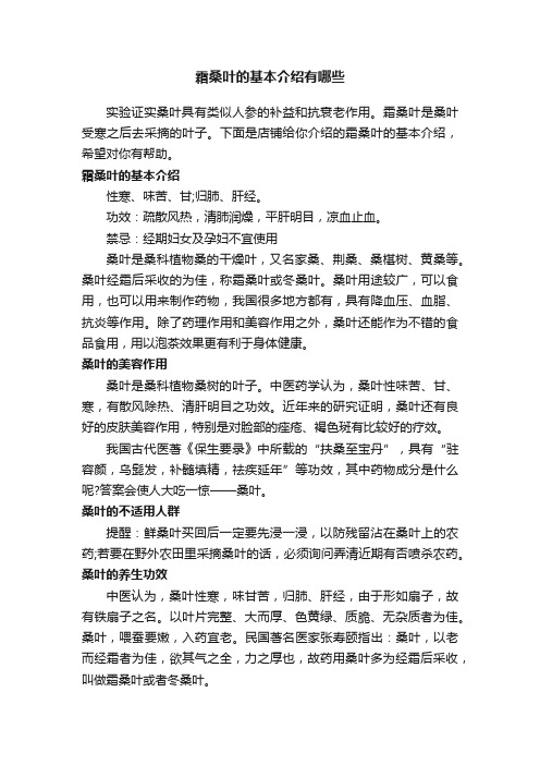 霜桑叶的基本介绍有哪些