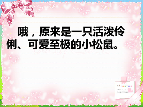 四年级语文上册第五单元那只松鼠课件4西师大版