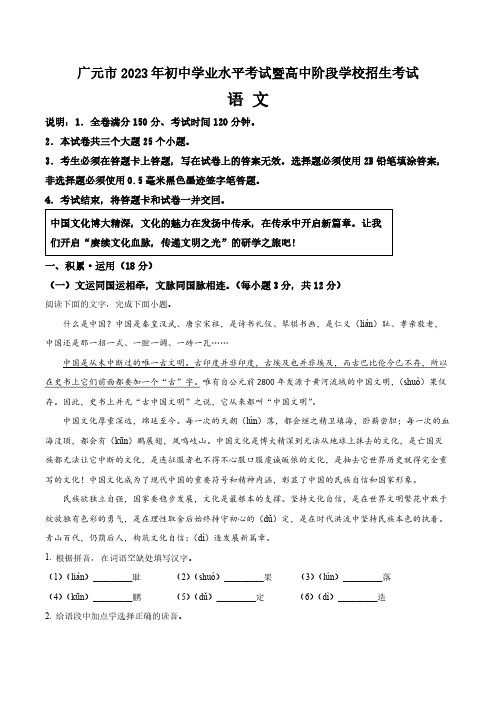 2023年四川省广元市中考语文真题卷(含答案与解析)