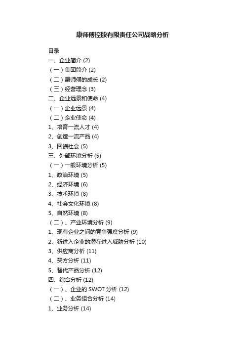 康师傅控股有限责任公司战略分析