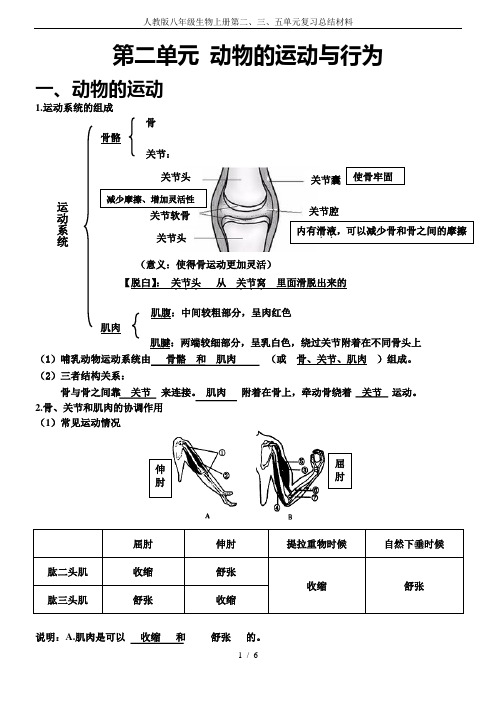 人教版八年级生物上册第二、三、五单元复习总结材料