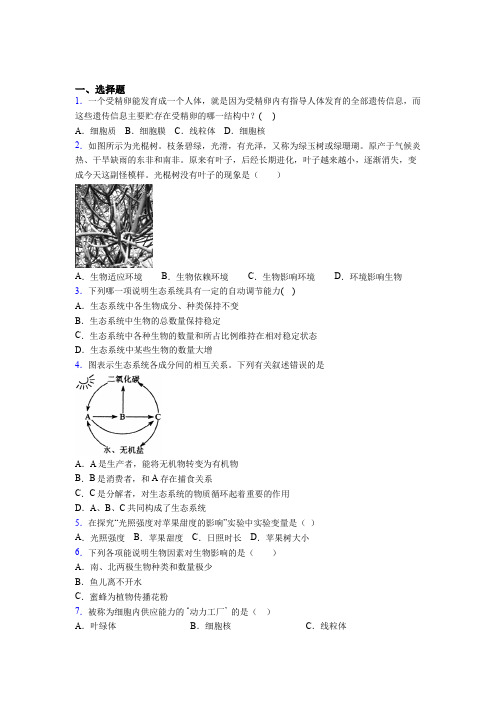 北京市通州区2019年七上生物期末模拟检测试题之一