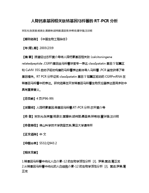 人降钙素基因相关肽转基因马铃薯的RT-PCR分析