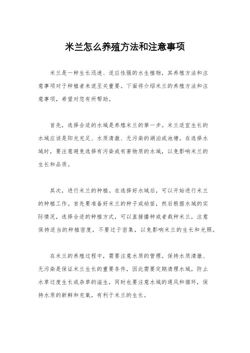 米兰怎么养殖方法和注意事项