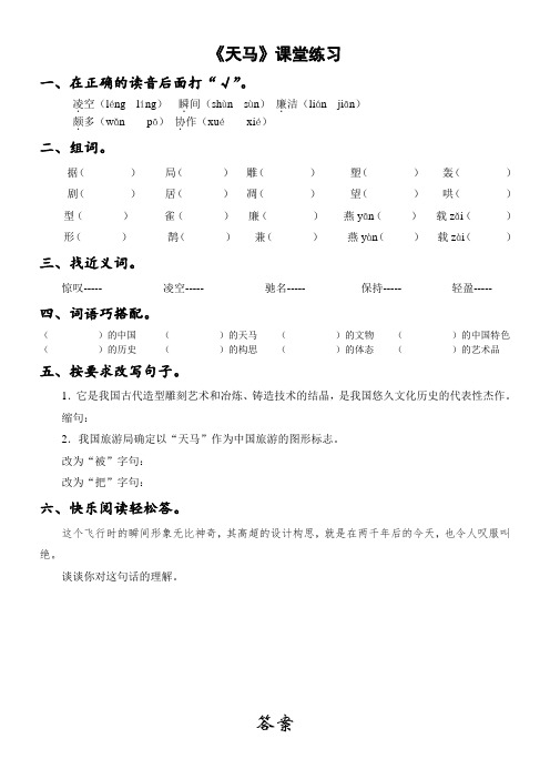 1.1 天马练习题及答案