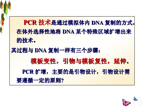 PCR 技术原理