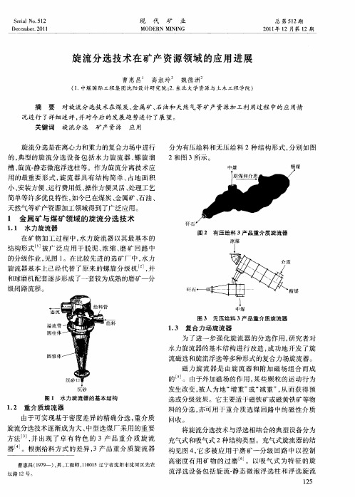 旋流分选技术在矿产资源领域的应用进展