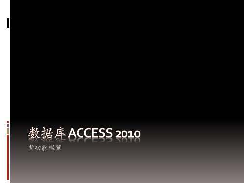 ACCESS2010-报表