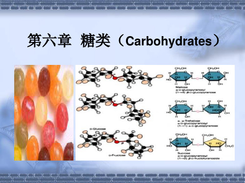 糖类营养师炊事员培训.pptx