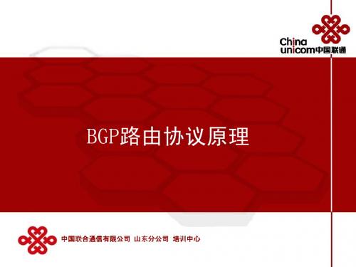 路由协议基本原理介绍-bgp