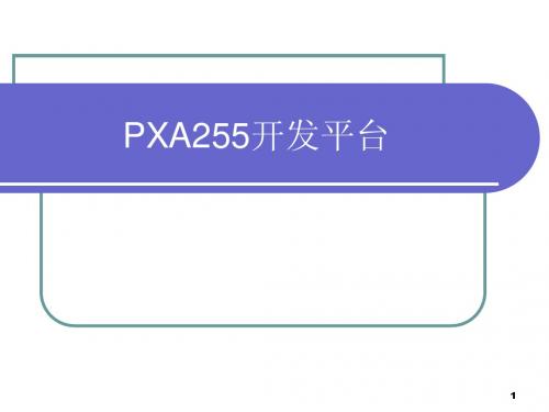 第2章_嵌入式平台PXA255