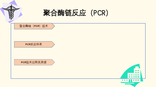 PCR PPT课件