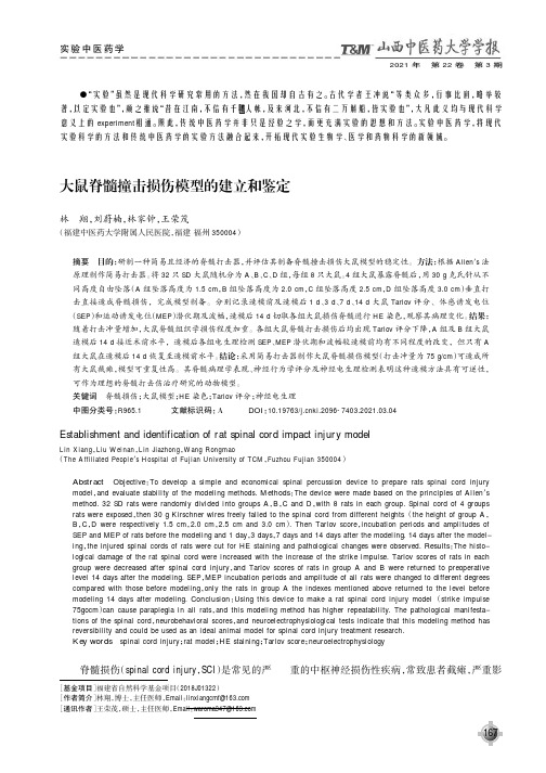 大鼠脊髓撞击损伤模型的建立和鉴定