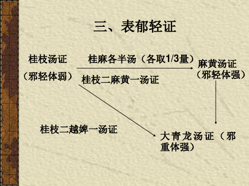 7 太阳病本证-表郁轻证