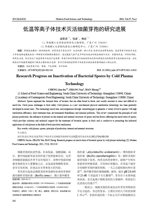 低温等离子体技术灭活细菌芽孢的研究进展