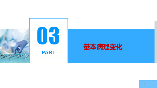 9.3.2风湿病的基本病理变化