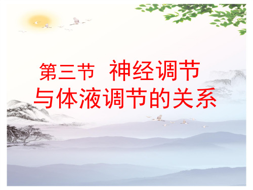 高中生物必修三第2章第3节  神经调节和体液调节的关系  课件(共15张PPT)_2[优秀课件][优秀课件]