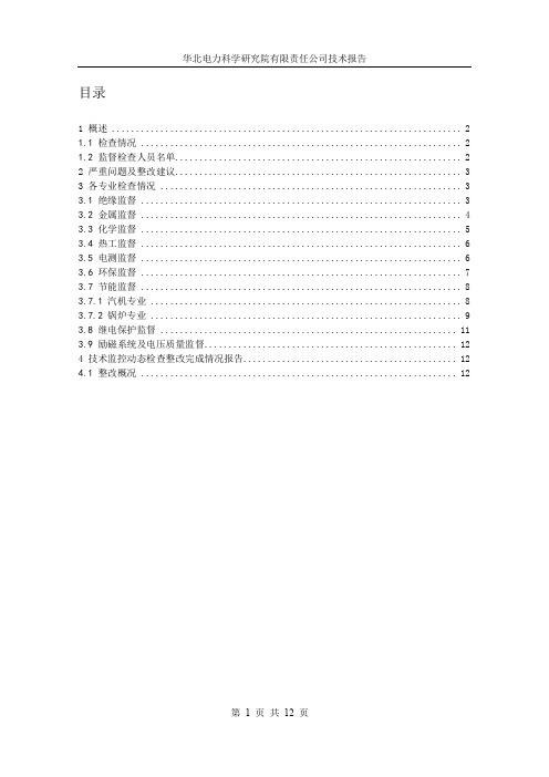 2013年下半年大唐盘山监督检查报告(米子德校阅)