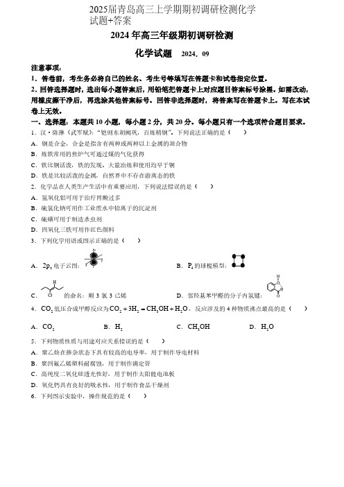 2024-2025学年山东省青岛市高三上学期期初考化学试题及答案