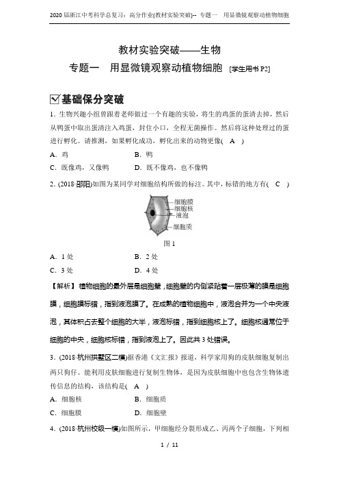 2020届浙江中考科学总复习:高分作业(教材实验突破)-- 专题一 用显微镜观察动植物细胞