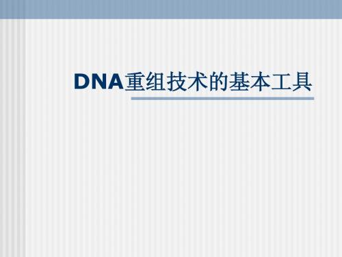 DNA重组技术的基本工具