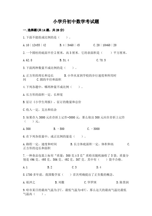 小学升初中数学考试题附答案(完整版)