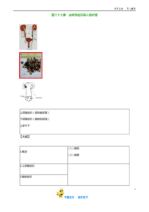 初级护师外科护理学优品讲义:3701