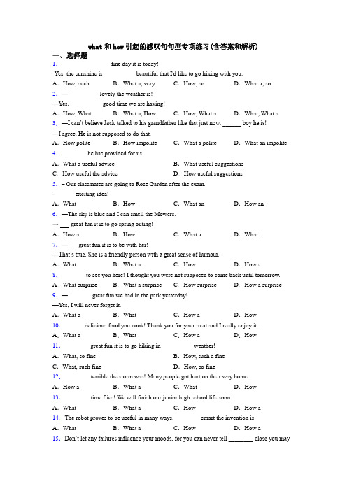what和how引起的感叹句句型专项练习(含答案和解析)