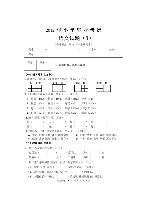 2012小学毕业语文试题B