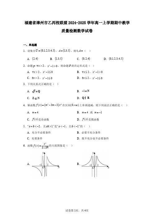 福建省漳州市乙丙校联盟2024-2025学年高一上学期期中教学质量检测数学试卷