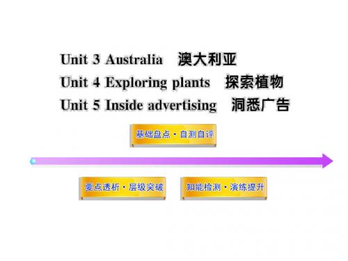 高考英语复习课件课件：Units 3-5(新人教版选修9)