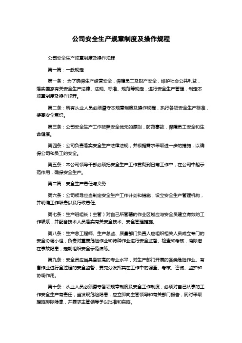 公司安全生产规章制度及操作规程