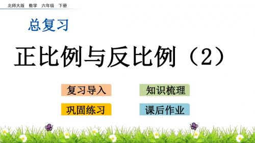 北师大版六年级下册数学 总复习 1.14 正比例与反比例2PPT课件(共14张PPT)