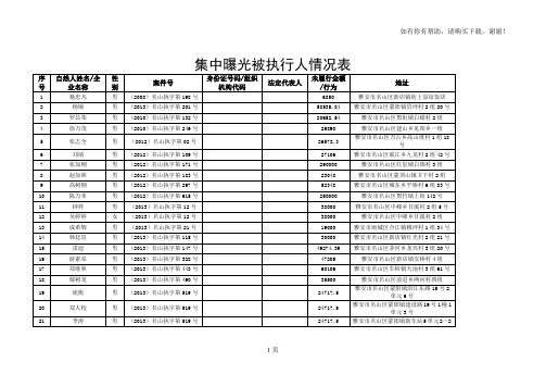 集中曝光被执行人情况表