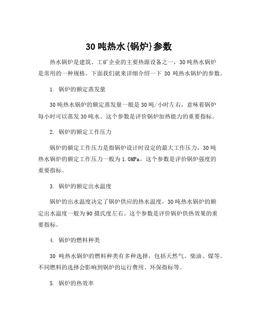 30吨热水{锅炉}参数