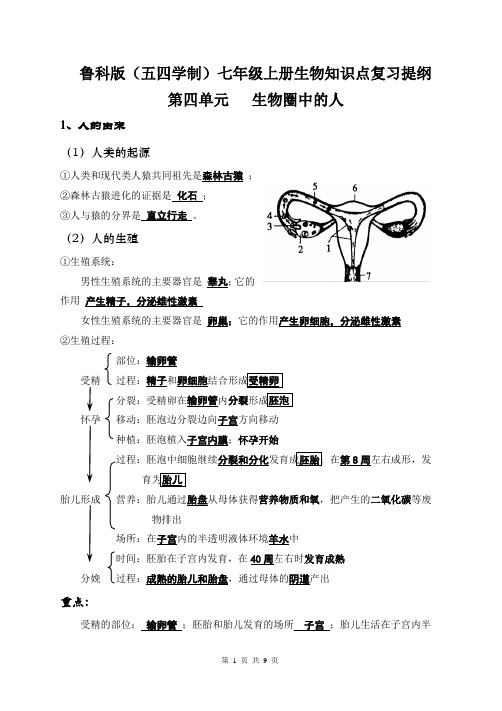 鲁科版(五四学制)七年级上册生物知识点复习提纲