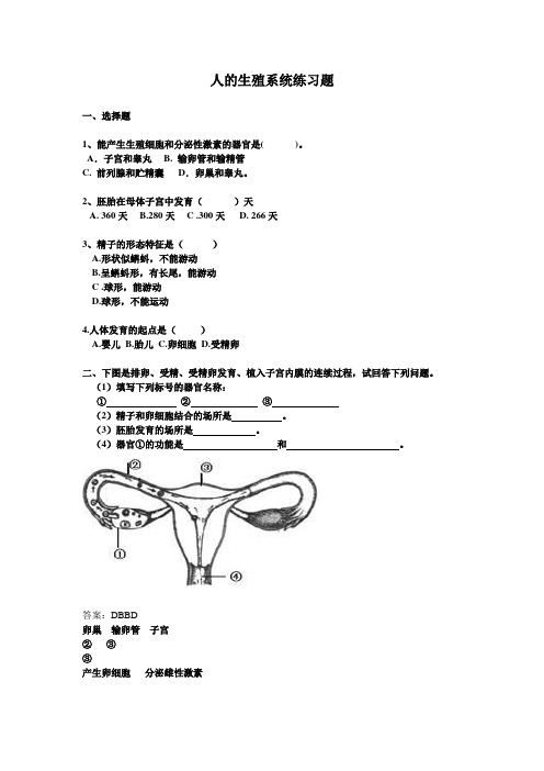 人的生殖系统练习题(含答案)