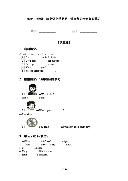 2024三年级牛津英语上学期期中综合复习考点知识练习