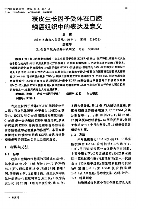 表皮生长因子受体在口腔鳞癌组织中的表达及意义