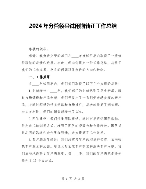 2024年分管领导试用期转正工作总结